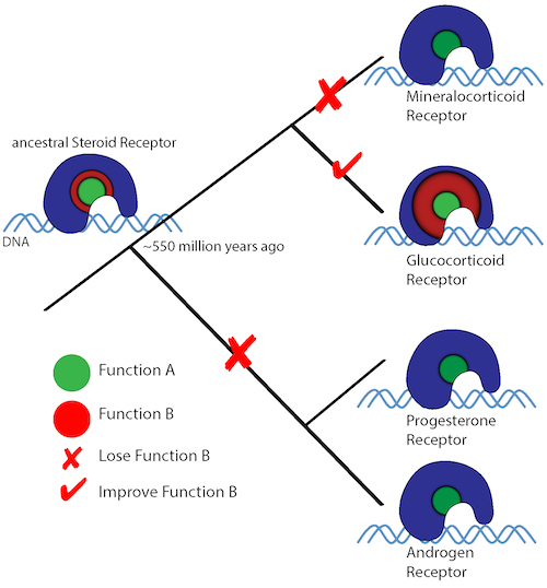 Story image